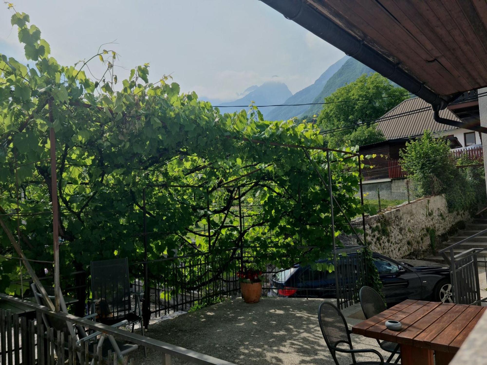 Apartments Bovec Dana Εξωτερικό φωτογραφία